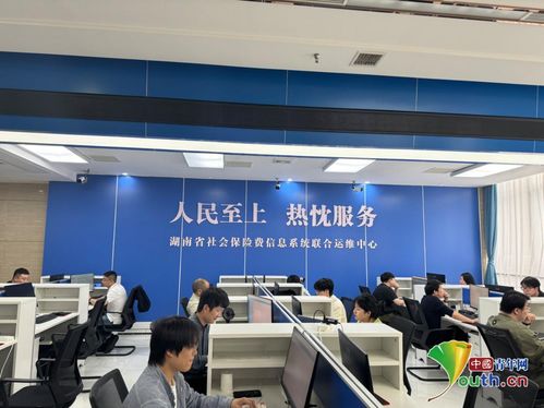 社保聯(lián)合運(yùn)維中心 數(shù)據(jù)不擁堵，群眾少跑腿，貿(mào)易咨詢更便捷